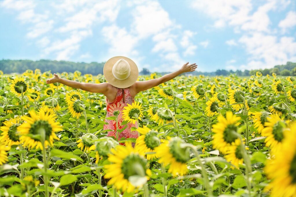 ペットロスが今から怖い だからこそ知っておきたいうさぎのペットロス予防方法 うさぎと過ごすhappy Life