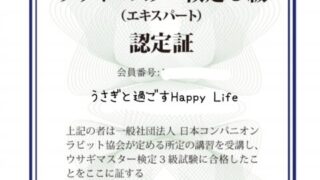 ラルフを救え 日本語で徹底解説 うさぎが動物実験を語る映画に込められた意味とは うさぎと過ごすhappy Life